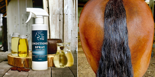 Eco Horse Conditioner Spray 500ml